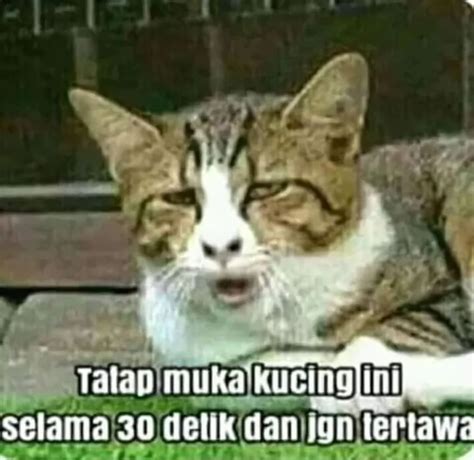 10 Meme Kocak yang Sebenarnya Jebakan! Awas Kesal!