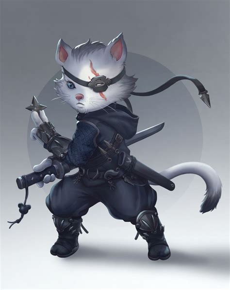 Ninja Cat Drawing - Cats Anime Drawing