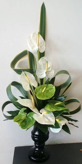 Anthurium Arrangement | Janitas