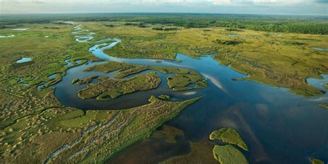 Everglades National Park, Wildlife Tourism in Florida - Traveldigg.com