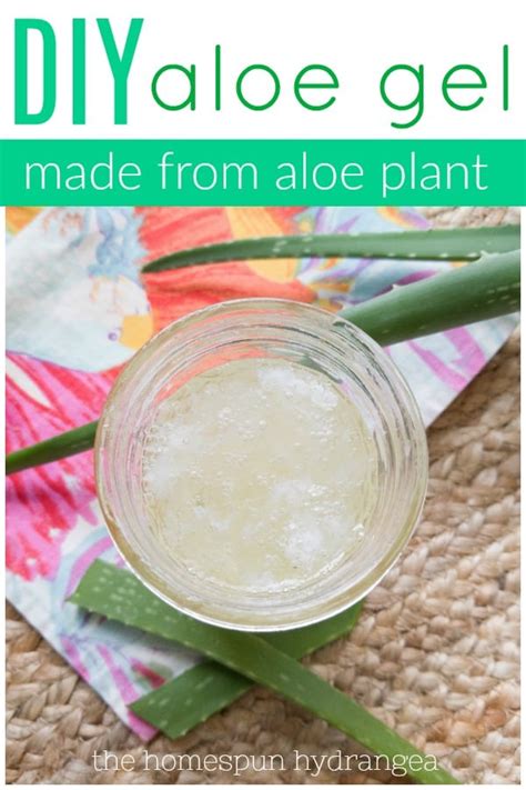 Aloe Vera Gel Recipe | Deporecipe.co