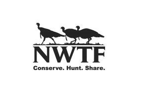 Forestry Notes Q&A: National Wild Turkey Federation - NACD