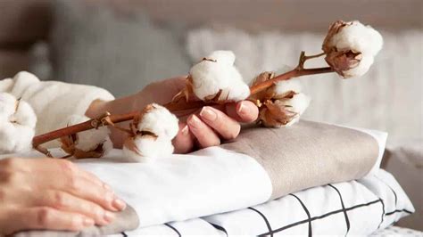 World Cotton Day 2023: Date, History, Activities and FAQs