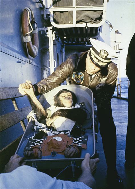 Space History Photo: Ham, The First Space Chimp | Space