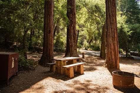 3 of the best San Francisco Bay Area redwoods campgrounds | Save the ...