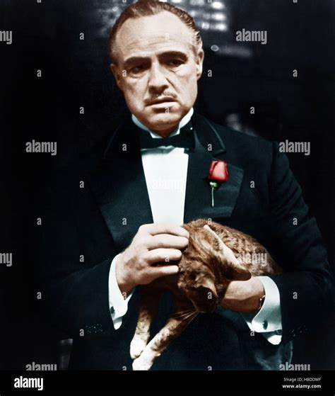 THE GODFATHER, Marlon Brando, 1972 Stock Photo - Alamy