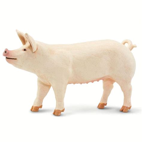 Large White Pig | Incredible Creatures | Safari Ltd®