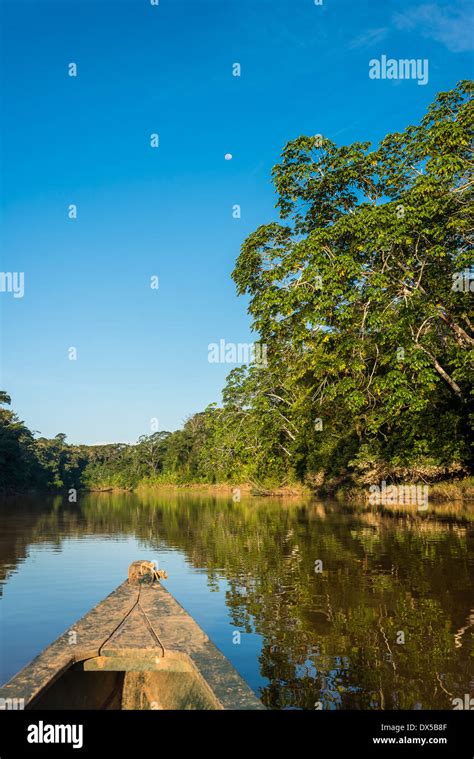 boat in the river in the peruvian Amazon jungle at Madre de Dios Peru ...