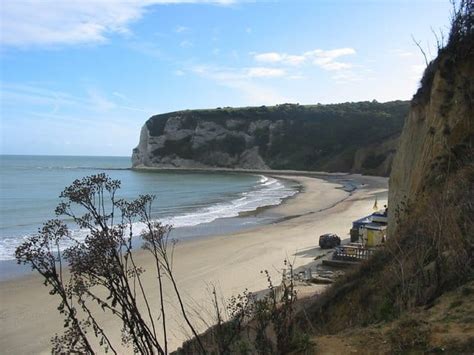 Whitecliff Bay Beach in Isle of Wight | Coast & Beach Guide