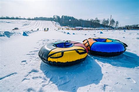 Unusual Winter Activities Every Michigan Newb Needs to Try