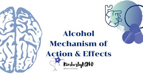 PA Student Pharmacotherapeutics: Alcohol Mechanism of Action - YouTube