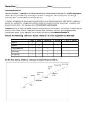 Phylogeny and Cladistics | CK-12 Foundation - Worksheets Library