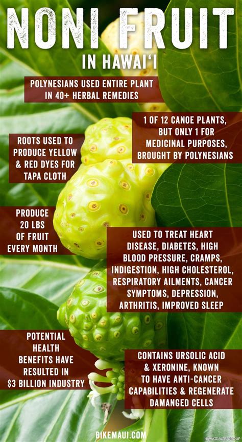 40 best Tropical Medicinal Plants images on Pinterest | Plants, Exotic ...