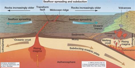 Evidence of sea-floor spreading and Pangaea