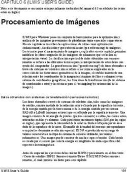 Procesamiento de Imágenes - CAPITULO 6 (ILWIS USER'S GUIDE)