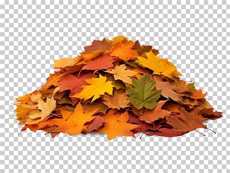 Premium PSD | Pile of autumn leaves isolated on transparent background png psd