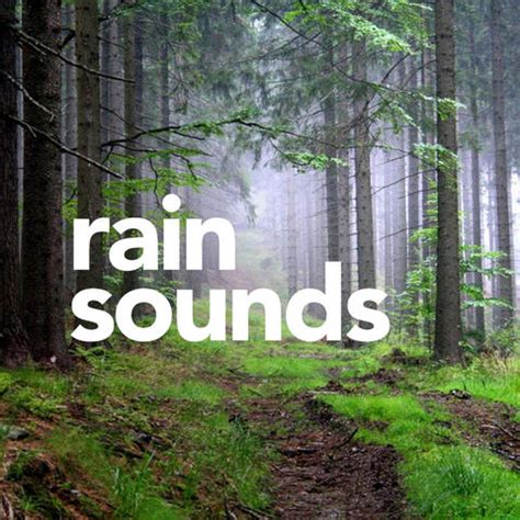 Rain Sounds - Rain Sounds | iHeart