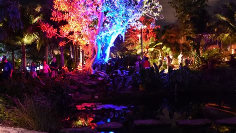 Annual Night Lights in the Garden creates twinkling holiday magic