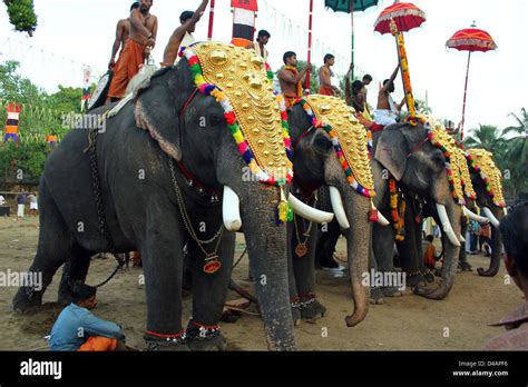 Temple Kerala Elephant Png / Some of the famous temples in india are among kerala is a ...