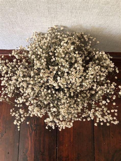 Dried Gypsophila bouquet Dried wedding flowers Dried | Etsy