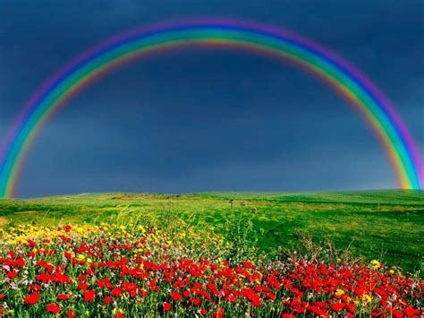 Rainbow Nature Wallpapers - Top Free Rainbow Nature Backgrounds ...