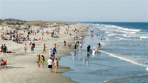 Exploring the Beautiful Sandy Shores of Savannah