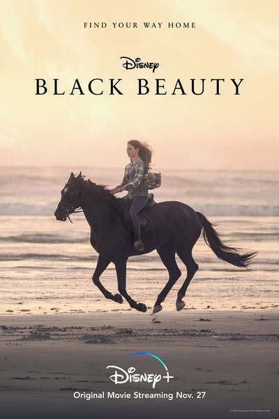 Black Beauty movie review & film summary (2020) | Roger Ebert