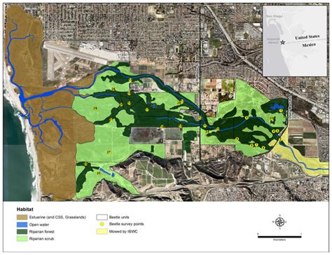 The impact of an invasive ambrosia beetle on the riparian habitats of ...