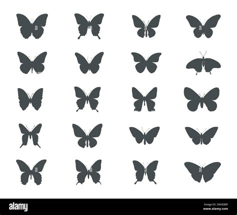 Butterfly silhouettes, Butterflies silhouette set Stock Vector Image & Art - Alamy