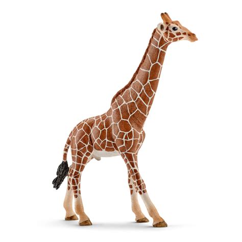 NEW! SCHLEICH WILDLIFE WILD ANIMAL FIGURES - FULL 2016 RANGE MULTIPLE ...