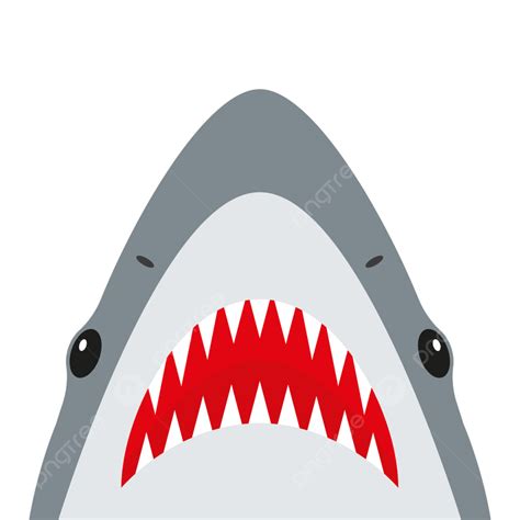 Sharp Teeth Vector Design Images, Shark With Open Mouth And Sharp Teeth ...