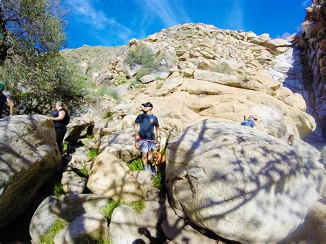 Cedar Creek Falls Hike Recap {San Diego Area} • Foodie Loves Fitness