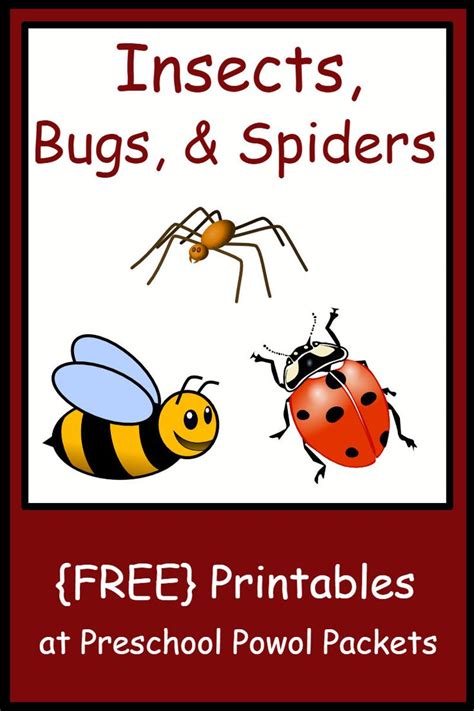 Insect, Bug, & Spider Themed {FREE} Preschool Printables | Insects ...