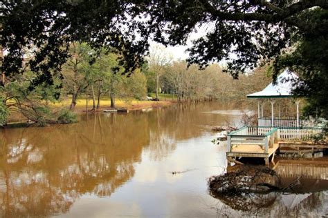 Authentic Breaux Bridge: Crawfish Capital of the World - RVing with Rex