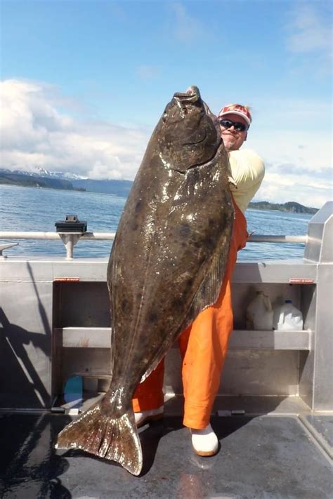 4-day/5-night Alaska Fresh/saltwater Fishing Package for Four Anglers ...