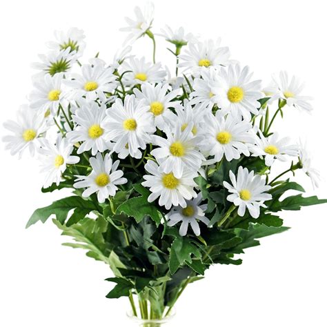 White Daisy Flower Bouquet | ubicaciondepersonas.cdmx.gob.mx