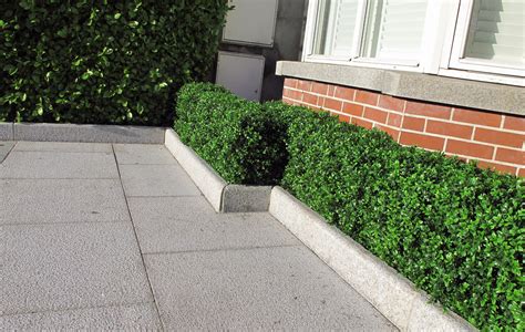 Artificial Box Hedging | Artificial Boxwood Hedging | BEST PRICES