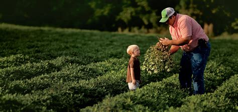 Georgia Grown | A Division of the Georgia Department of Agriculture