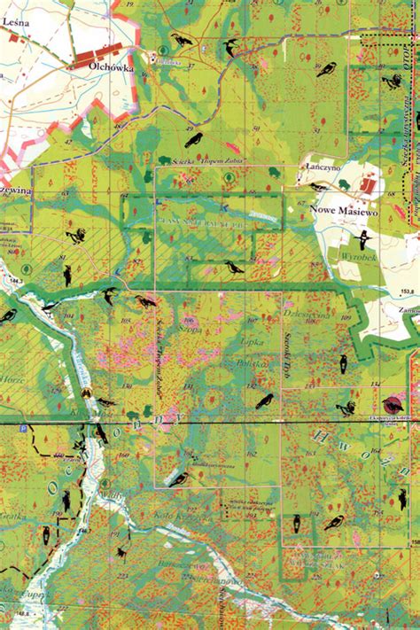 Białowieża Forest Paper Map | | Wild Poland