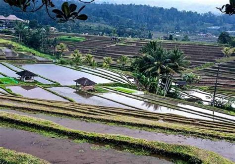 Desa di Indonesia - Fungsi, Pemerintah Desa, Ciri-Ciri Masyarakat, Pola