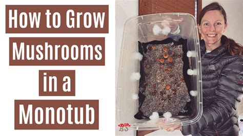 How to grow mushrooms in a monotub - Boomer Shroomer