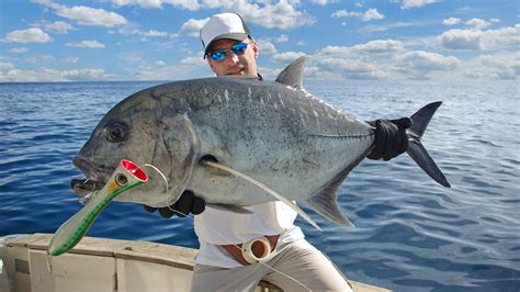 Giant Trevally Pictures - AZ Animals