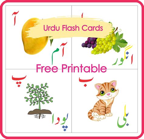 Urdu Flash Cards Alphabets | Montessoriseries