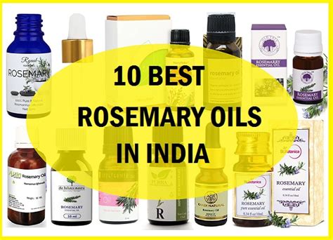 Top 10 Best Rosemary Oil Brands in India: Prices and Reviews (2022)