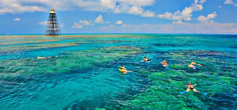 Catamaran Reef Snorkeling | Best On Key West