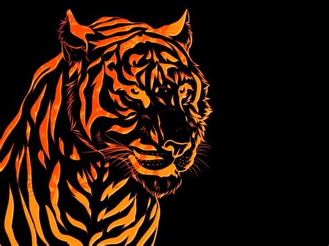 Coloured Tiger Wallpapers - Wallpaper Cave