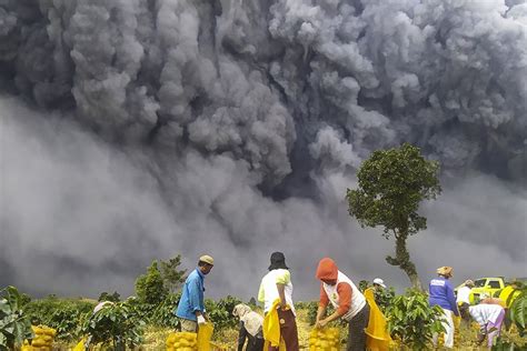 Aktivitas Erupsi Gunung Sinabung Masih Terjadi, Kemarin Meletus 7 Kali Halaman all - Kompas.com