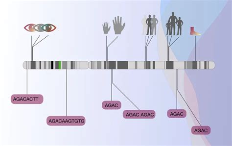 A Brief Introduction to "Gene Mapping"