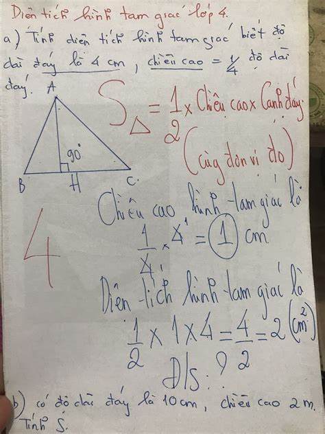 cách tính diện tích hình tam giác lớp 4 - Sáng tạo xanh