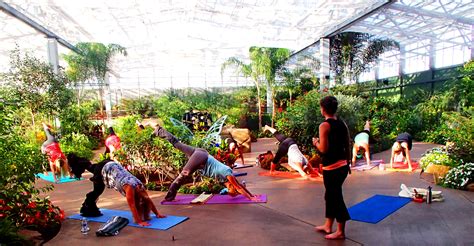 Yoga in the Rainforest